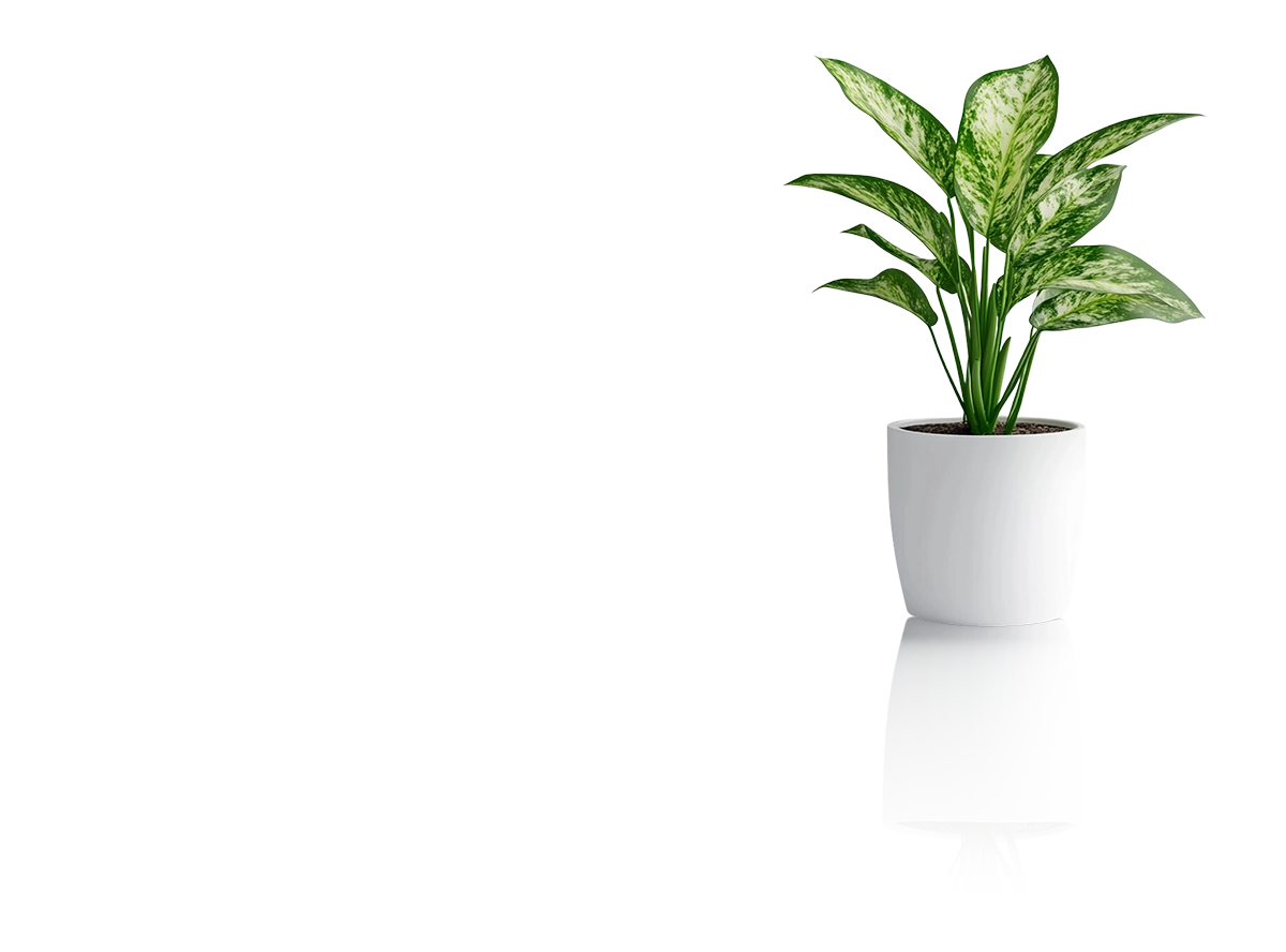 webpro-responsive-design-virag